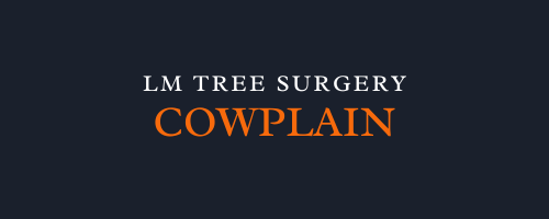 LM Tree Surgery Cowplain